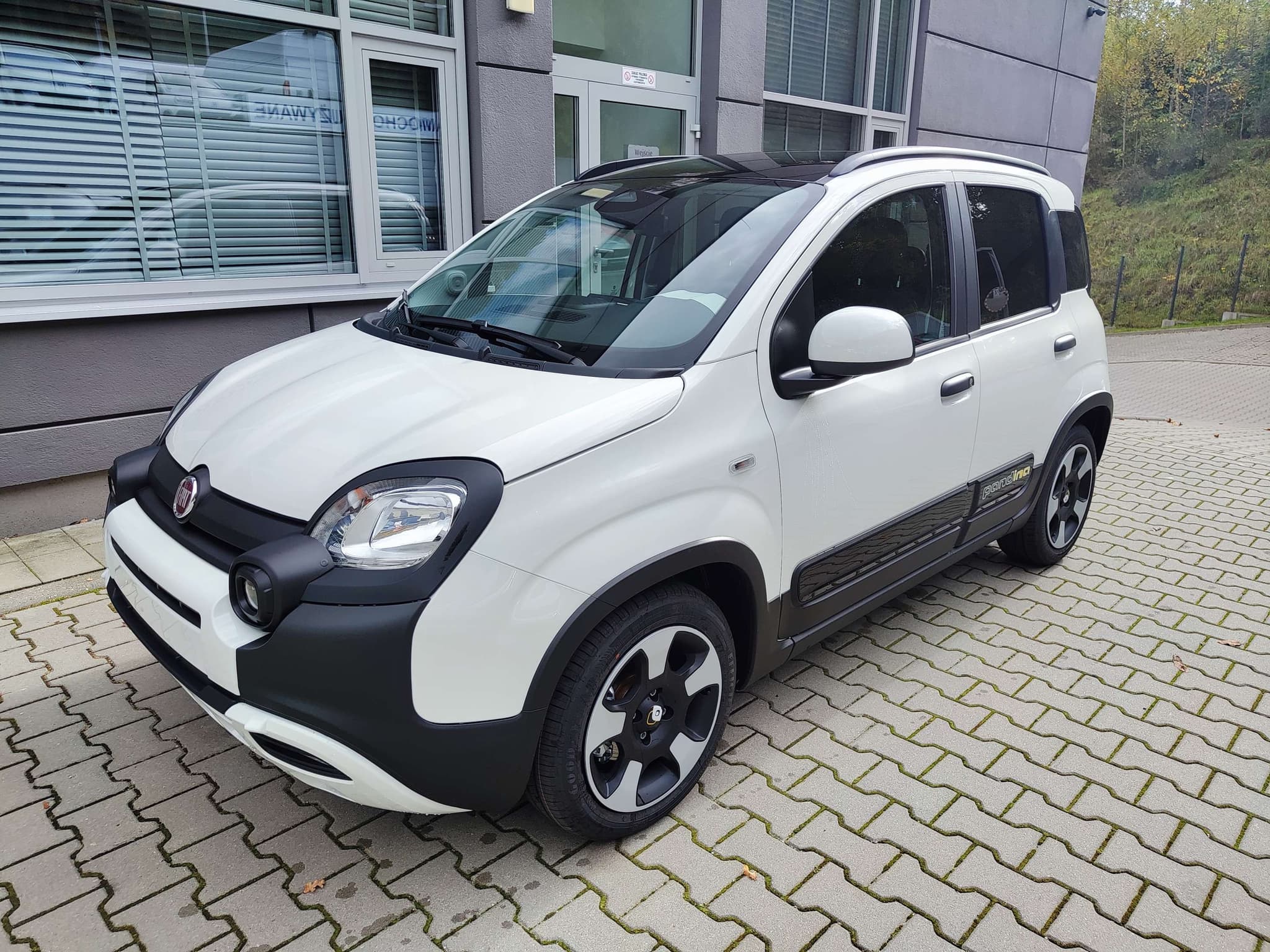 Główne zdjęcie Fiat Panda Panda